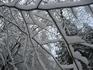 20111210 013 - コピー.JPG